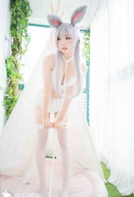 中通快递查询入口